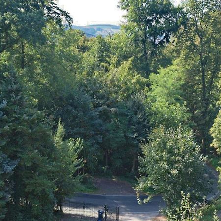Splendid Holiday Home In Freital With Sauna エクステリア 写真